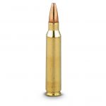 Click here to go to ".223 / 5.56 Ammunition"