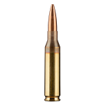 260 Remington Ammuntion
