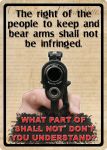 Right to Keep and Bear Arms Tin Sign