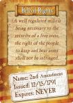 Bill Of Rights Tin Sign